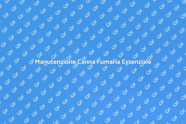 Ripara la Canna Fumaria per Sicurezza