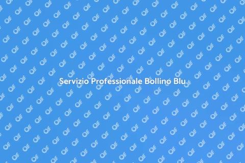 Consulenza Bollino Blu Caldaia