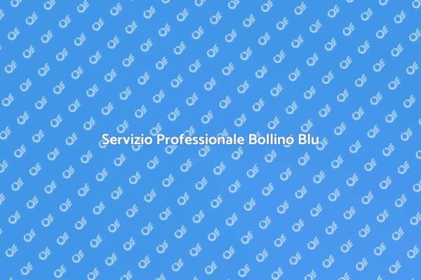 Consulenza Caldaia per Bollino Blu