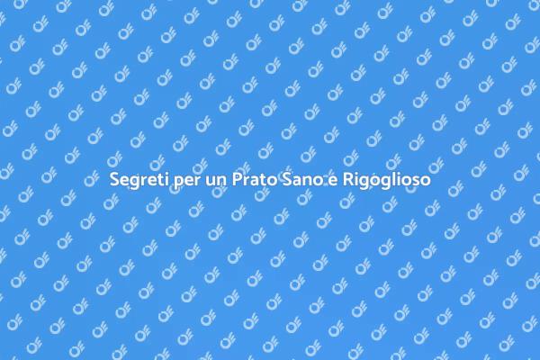 Prato Sano: I Segreti per il Successo