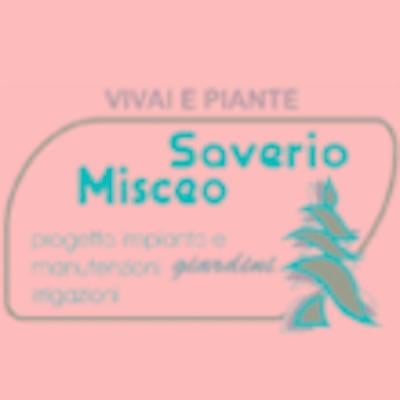 Saverio Misceo Vivai e Piante  - Foto 1