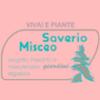 Saverio Misceo Vivai e Piante 
