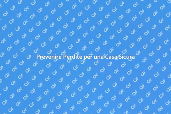 Sistema di Controllo delle Perdite Essenziale