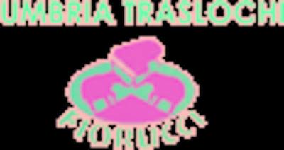 Traslochi Umbria Traslochi  - Foto 1