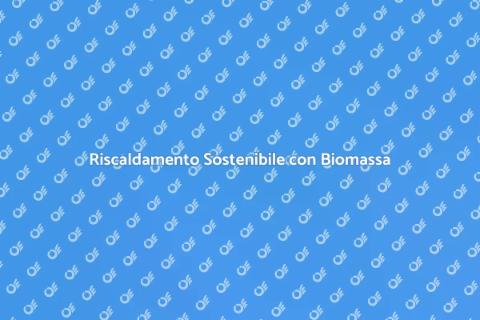 Caldaia a Biomassa: Riscaldamento Eco