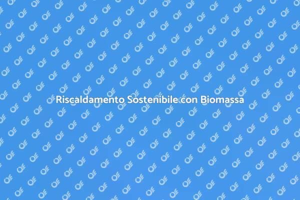 Caldaia a Biomassa: Eco e Risparmio