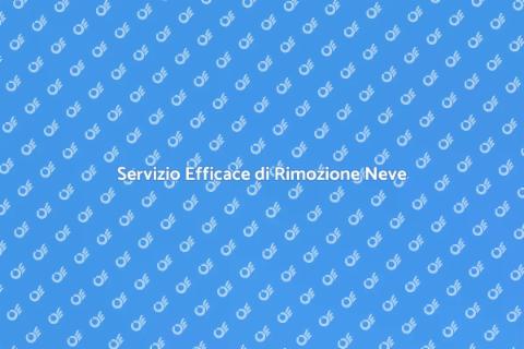 Rimozione Rapida della Neve