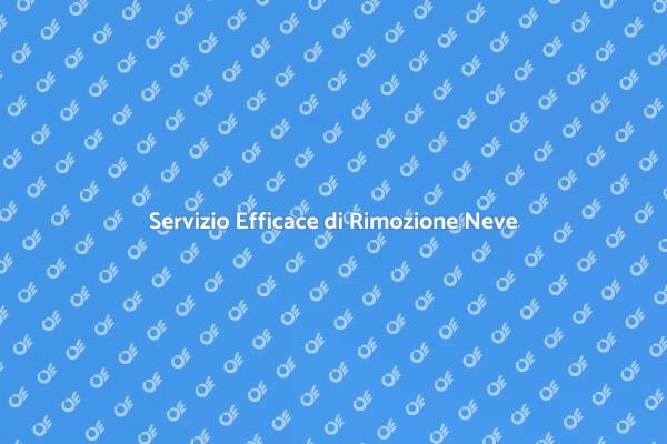 Rimozione Neve per la Tua Sicurezza