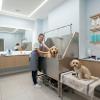 Come Trovare un Professionista per il Lavaggio e la Toelettatura degli Animali.