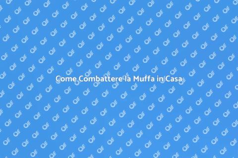 Rimozione e Prevenzione Muffa