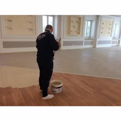 Daleon Pitturazioni e Cartongesso  - Foto 3