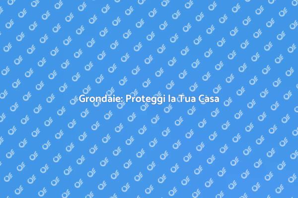 Grondaie con Garanzia: Proteggi la Tua Casa