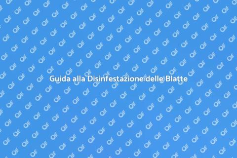 Disinfestare l'Ambiente da Blatte