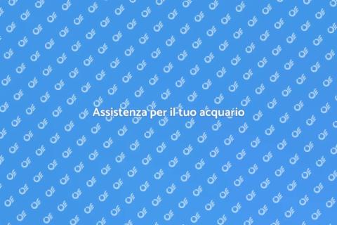 Programma di supporto acquario