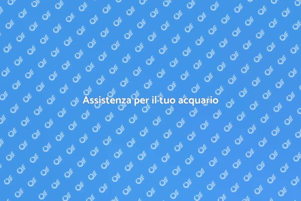 Migliora il tuo acquario oggi