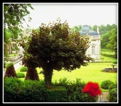 Vivai Piante e Fiori Vita Stefano  - Foto 2