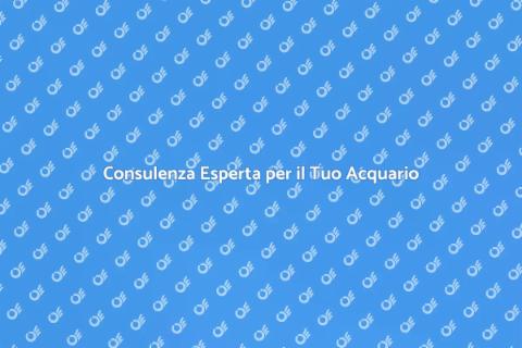 Servizio di Consulenza per Acquari