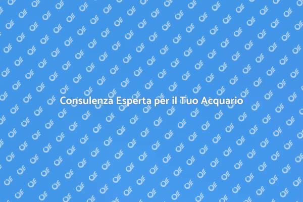Crea il Tuo Acquario Ideale