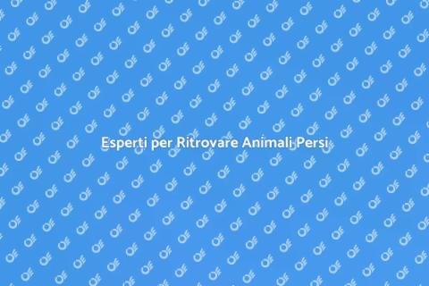 Trova un Esperto per Animali Persi
