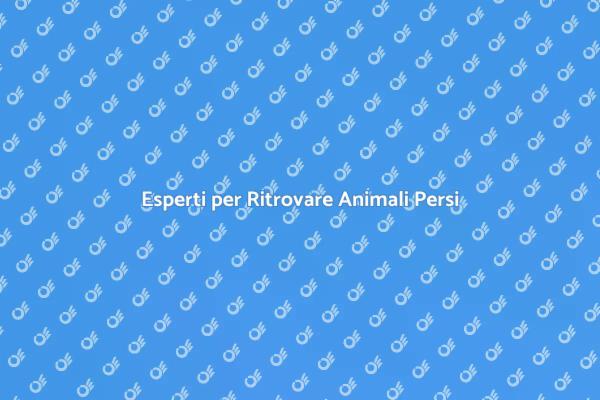 Come Trovare il Tuo Animale Scomparso
