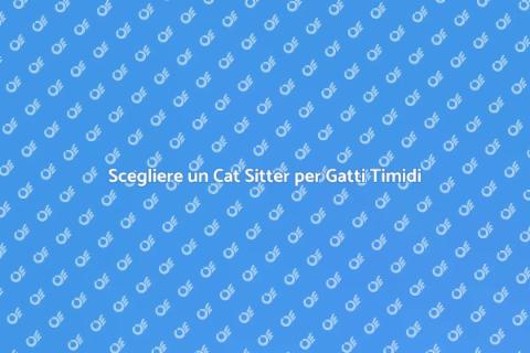 Cat Sitter Affidabile per Gatti Timidi