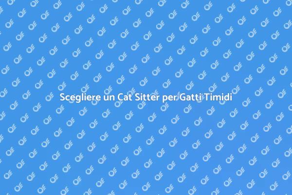 Cat Sitter: La Chiave per Gatti Timidi