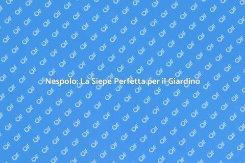 Siepe di Nespolo per il Tuo Giardino