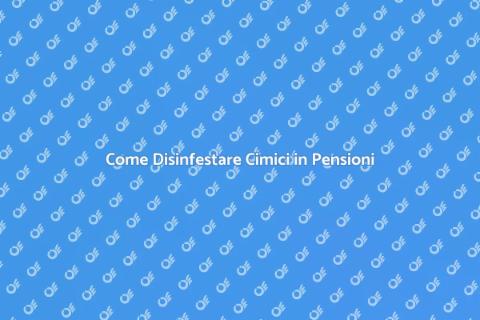 Disinfestazione Cimici in Pensioni