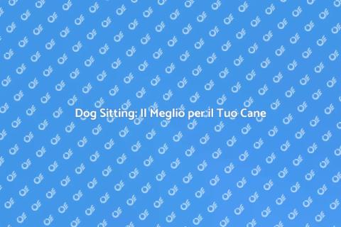 Dog Sitting Professionale per il Tuo Amico