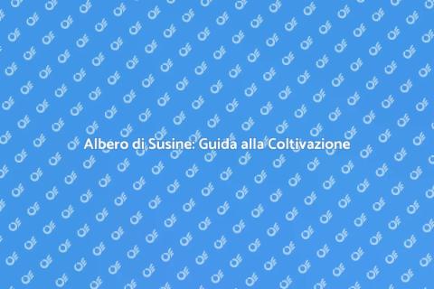 Piantare un Albero di Susine