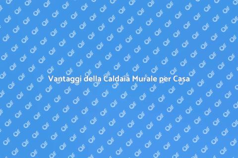 Caldaia Murale: Comfort e Efficienza