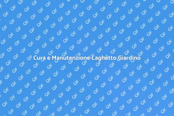 Manutenzione Essenziale per Laghetti