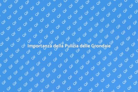 Pulizia Grondaie: Salva la Tua Casa