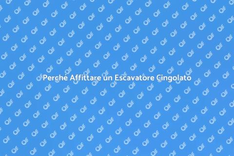 Affitto Escavatore Cingolato: Vantaggi