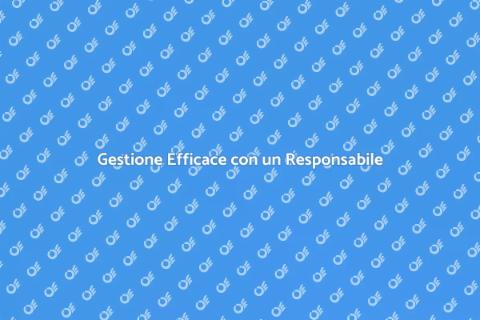 Responsabile Controllo di Gestione