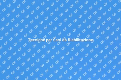 Educare Cani da Riabilitazione