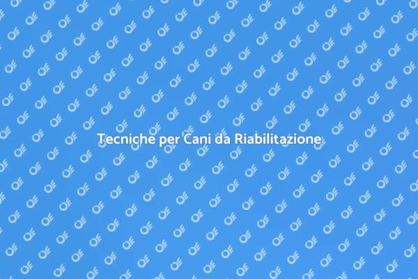 Cani da Riabilitazione: Come Educare