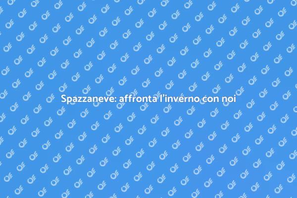 Spazzaneve: il tuo supporto in inverno
