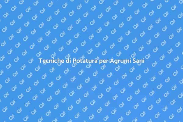 Potatura Efficace per Agrumi Produttivi