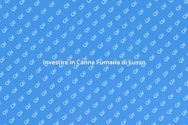 Canna Fumaria: Comfort e Sicurezza