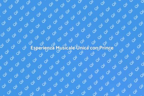 Concerto Personalizzato di Prince