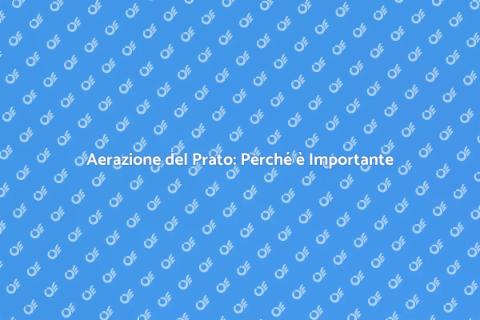 Aerare il Prato con un Professionista