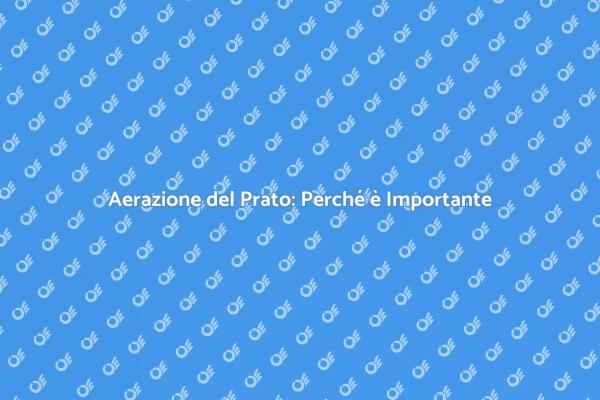 Aerazione del Prato: La Chiave per un Giardino Sano