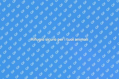 Pensione per animali: un rifugio sicuro