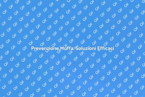Liberati dalla Muffa in Casa