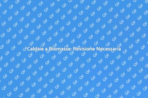Revisione Caldaie a Biomasse