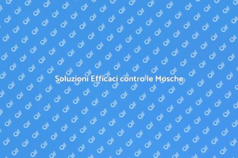 Liberati dalle Mosche in Casa