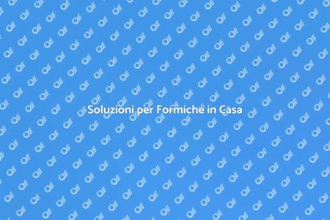 Disinfestazione Formiche in Casa