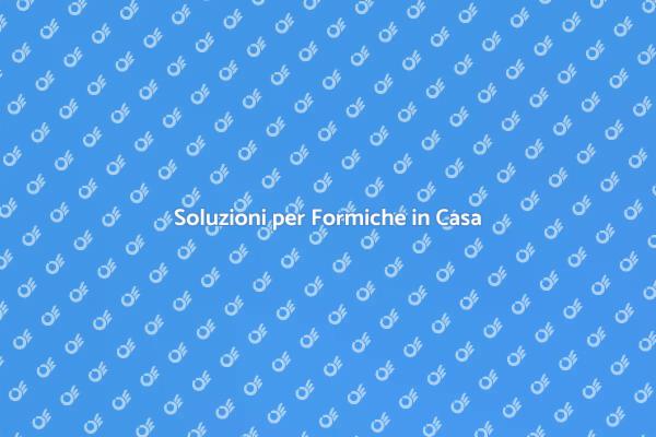 Combatti le Formiche in Casa