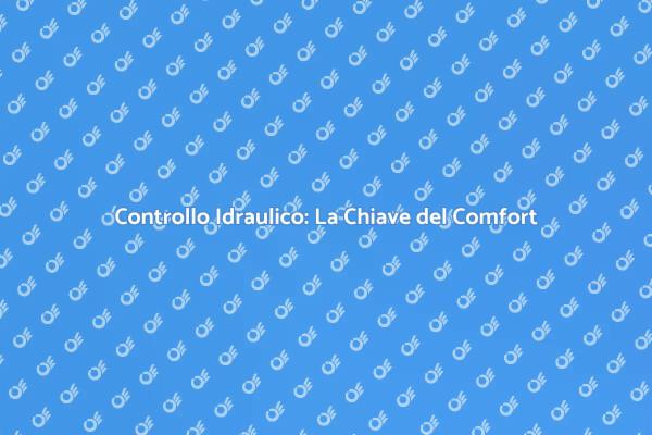 Manutenzione Idraulica: Fondamentale per Te